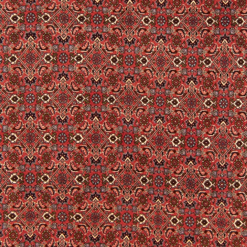 Perserteppich - Bidjar - Royal - 289 x 195 cm - rot