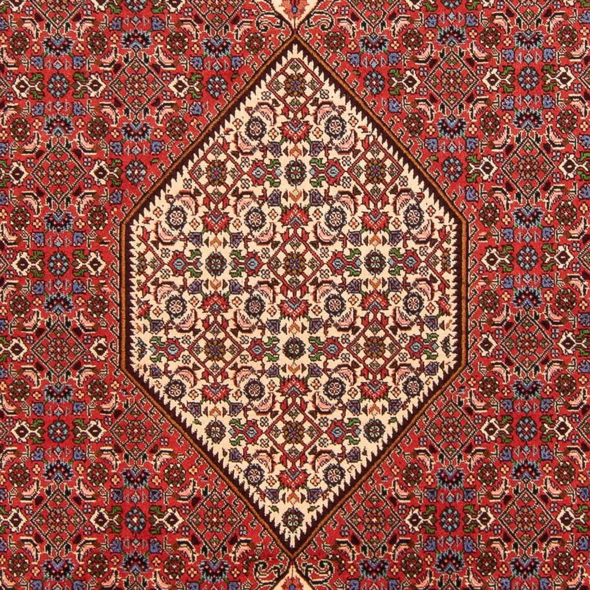 Perserteppich - Bidjar - Royal - 300 x 200 cm - rot