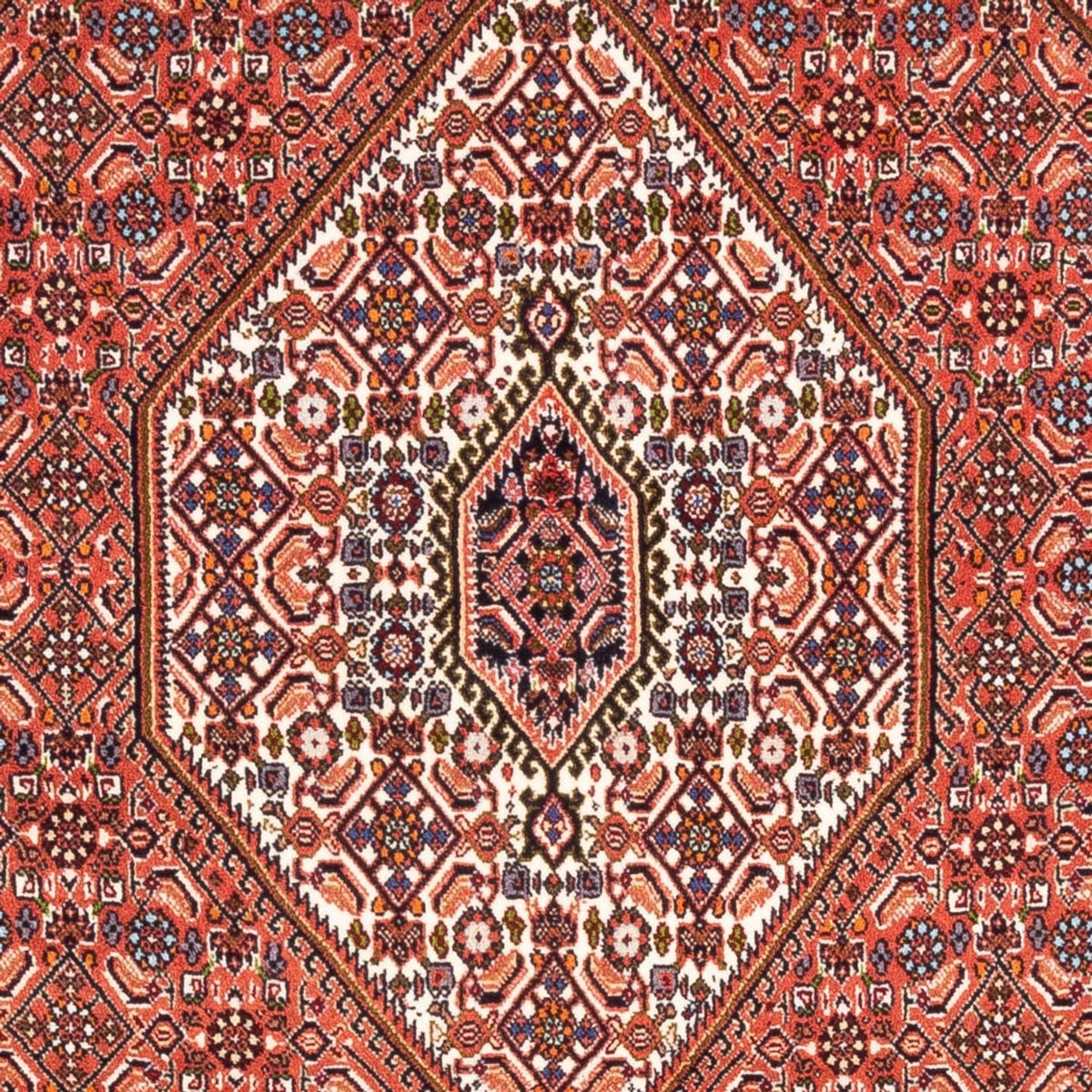 Perserteppich - Bidjar - Royal - 187 x 114 cm - rot