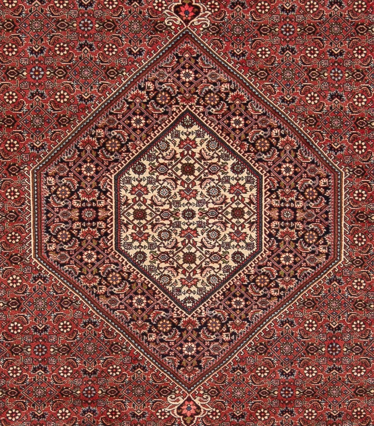 Perserteppich - Bidjar - Royal - 348 x 250 cm - dunkelrot
