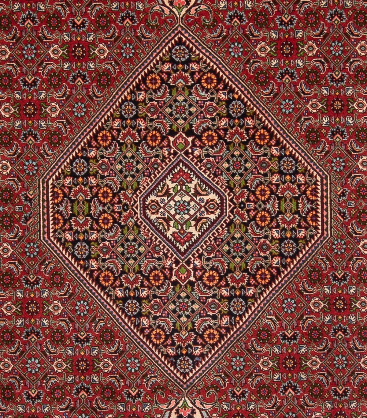 Perserteppich - Bidjar - Royal - 352 x 248 cm - dunkelrot