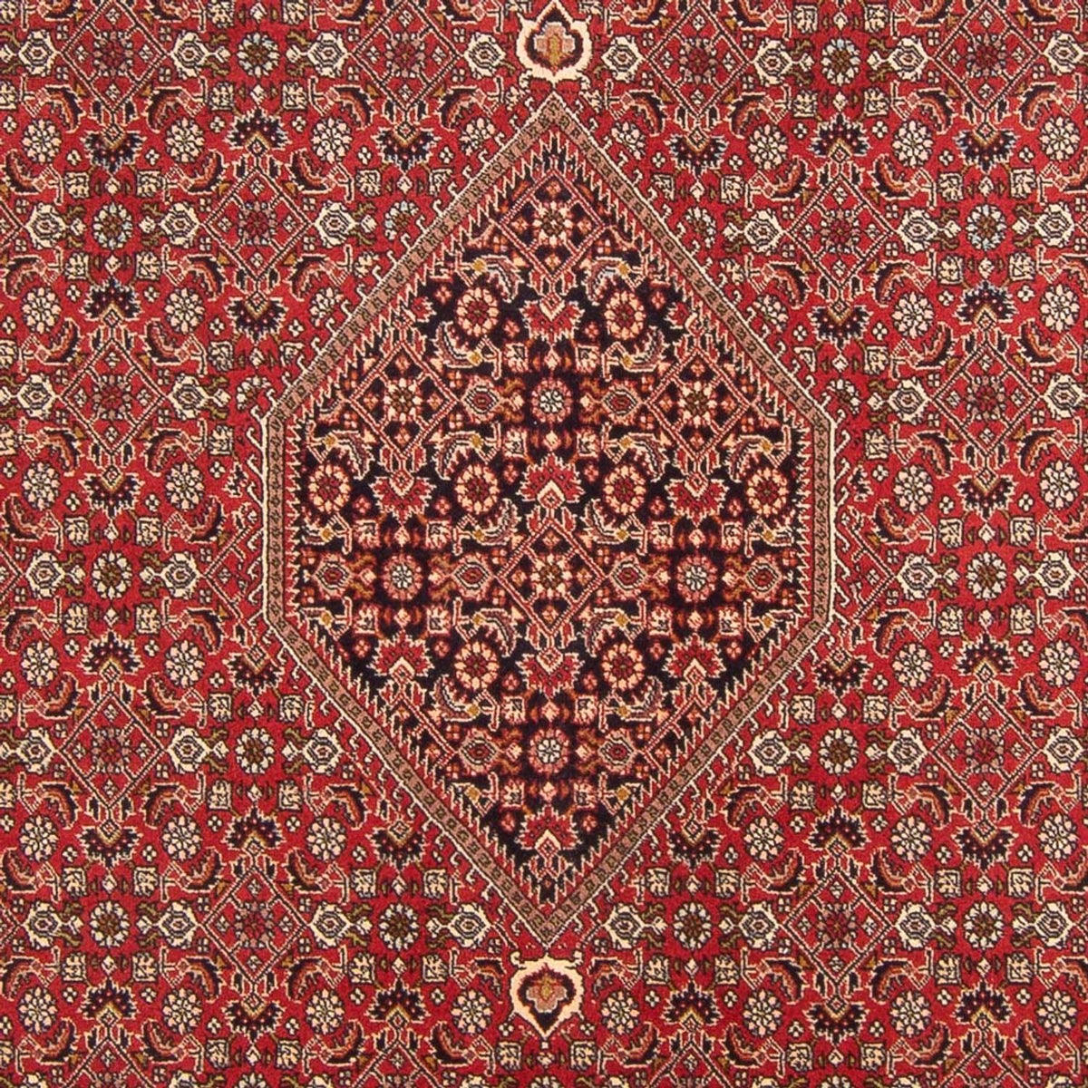 Perserteppich - Bidjar - Royal - 298 x 203 cm - rot