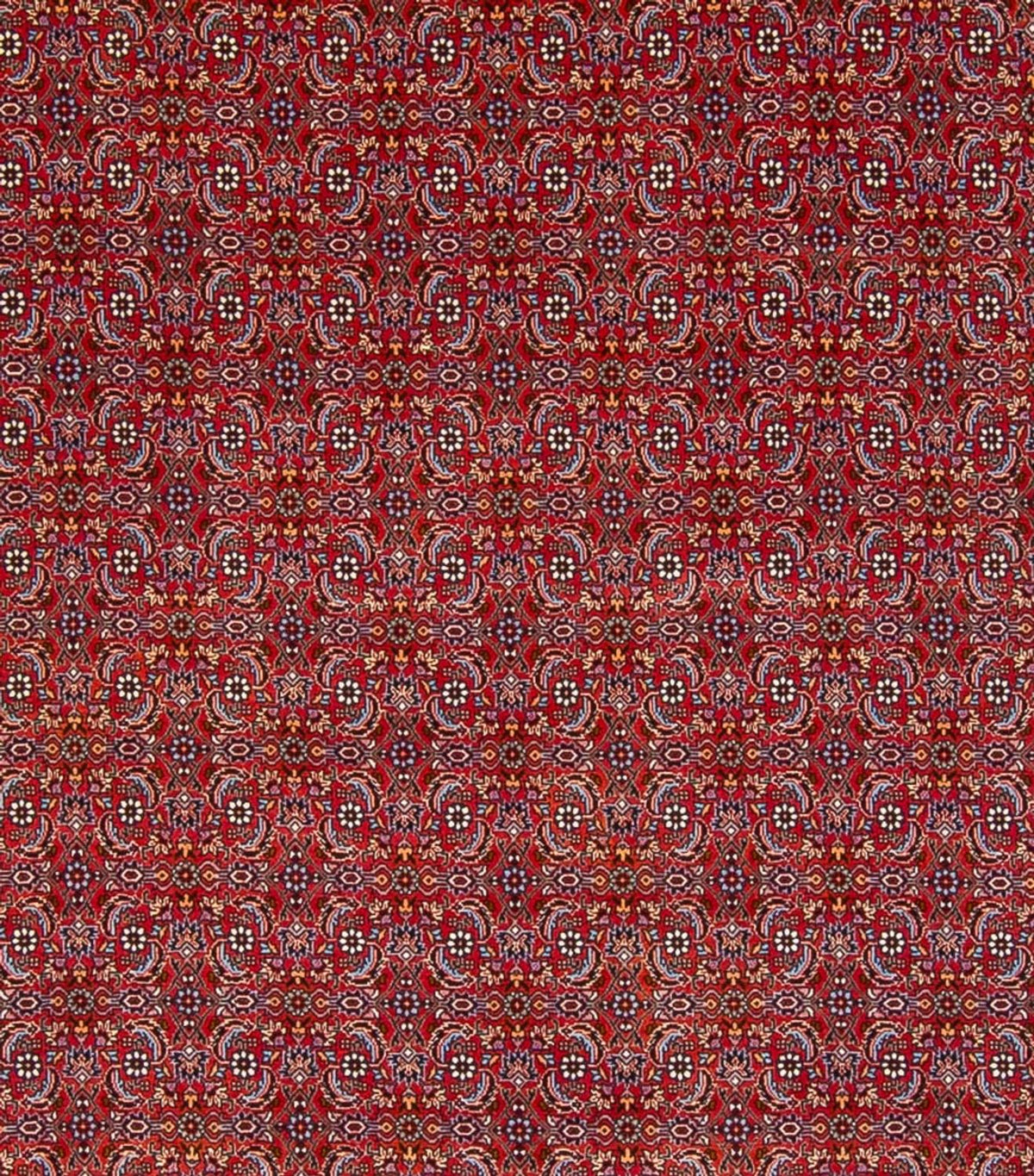 Perserteppich - Bidjar - Royal - 347 x 254 cm - rot
