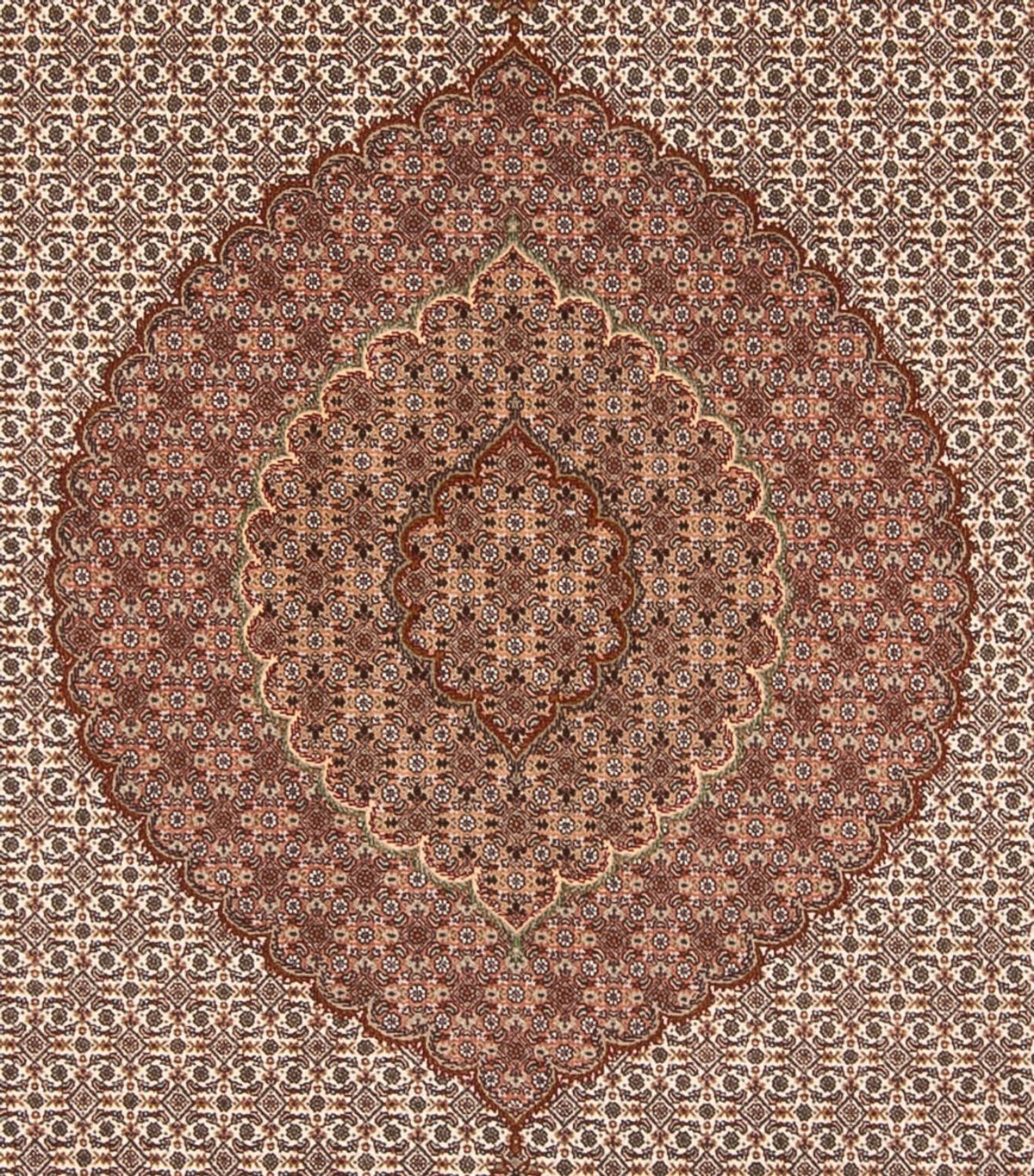 Perserteppich - Täbriz - 355 x 250 cm - hellbraun