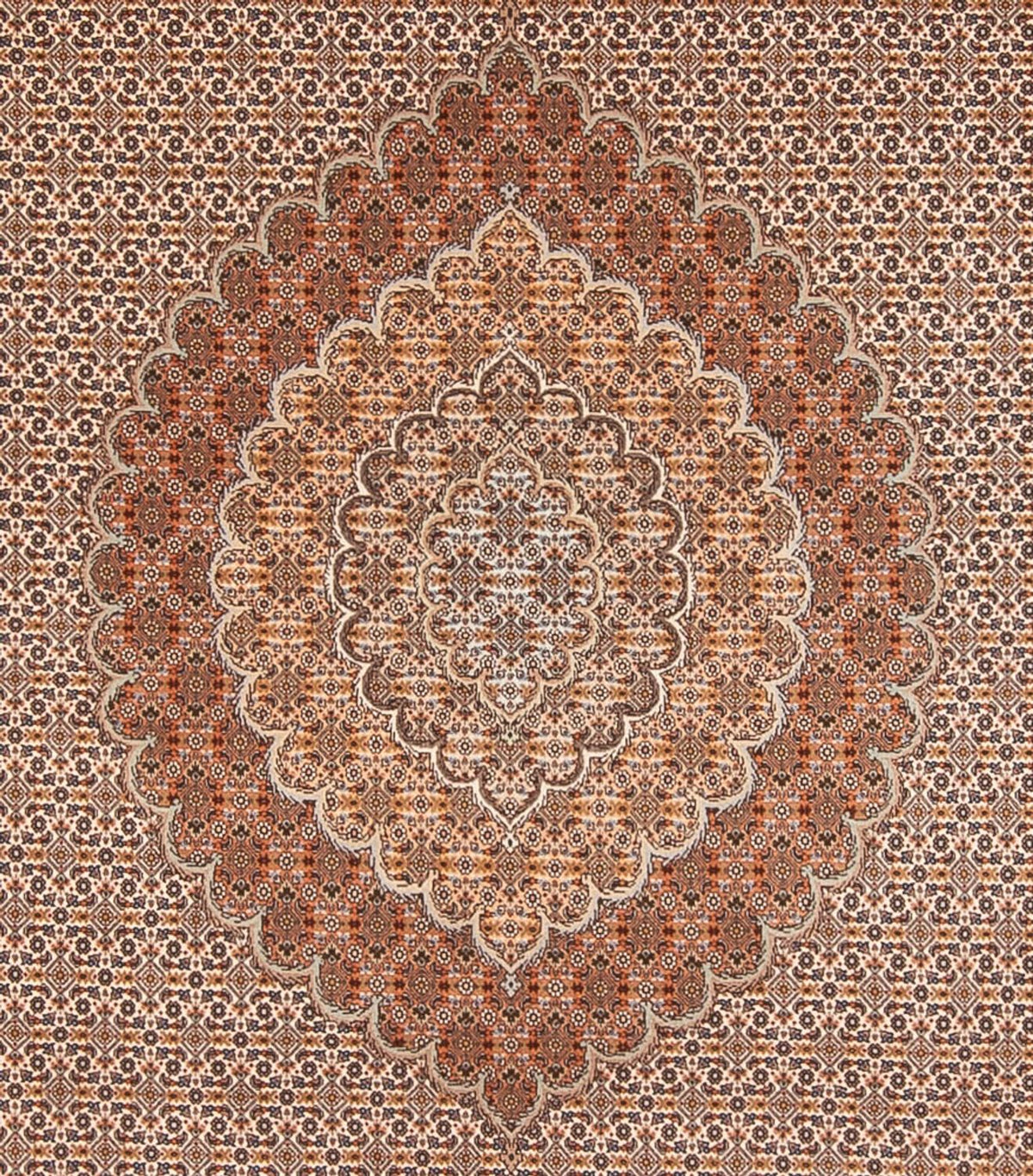 Perserteppich - Täbriz - 349 x 254 cm - hellbraun