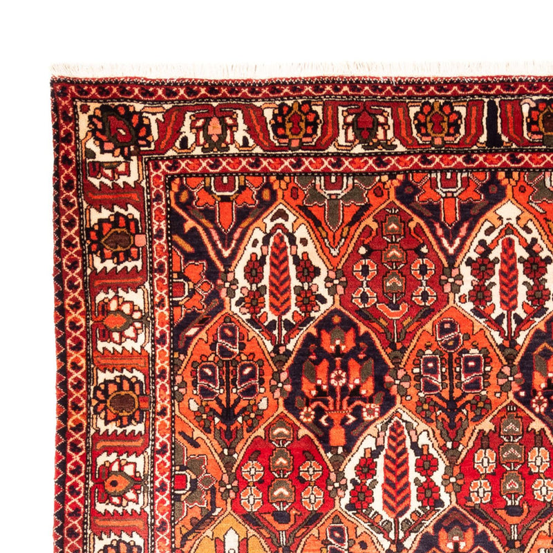 Perserteppich - Nomadic - 300 x 220 cm - mehrfarbig