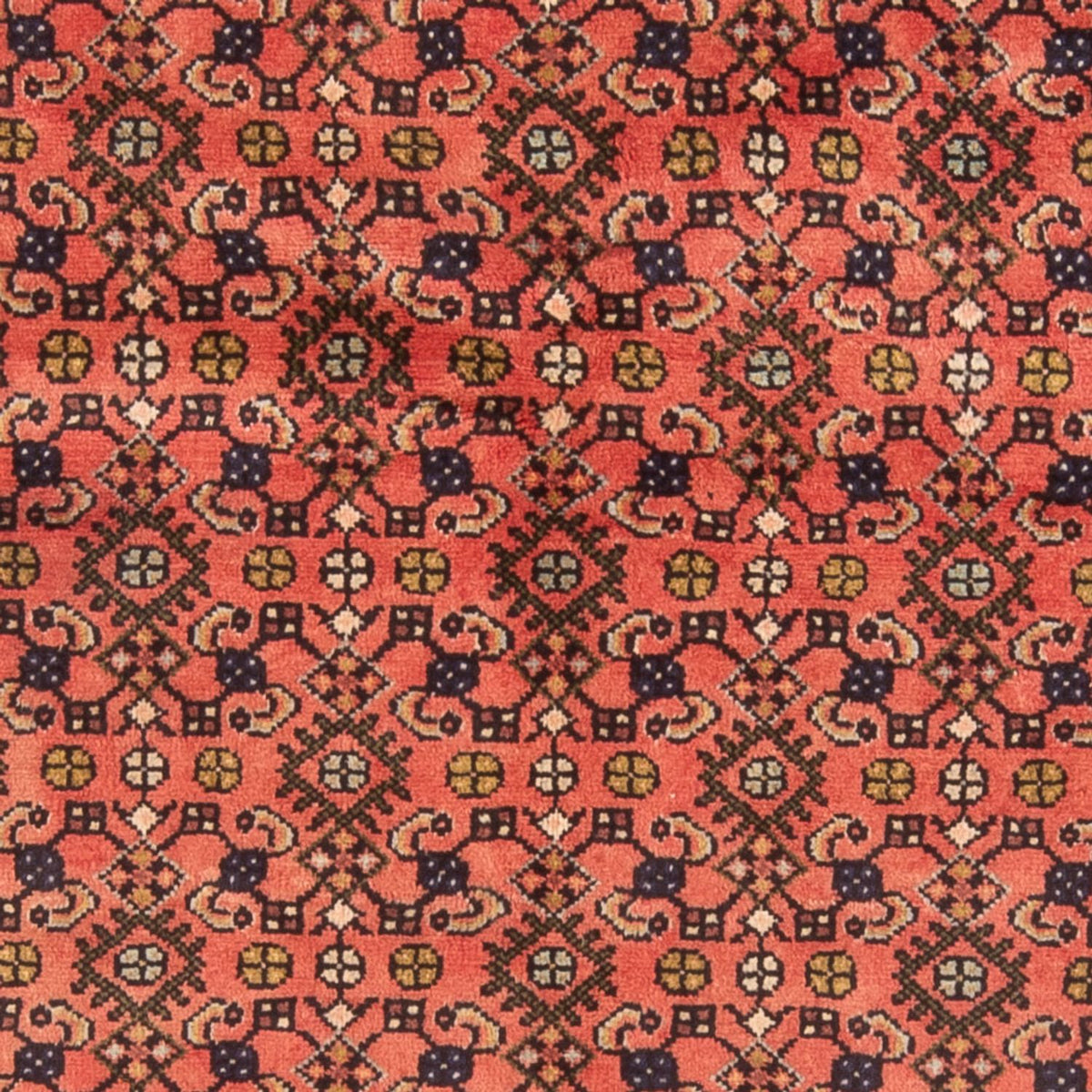 Perserteppich - Nomadic - 190 x 155 cm - rot