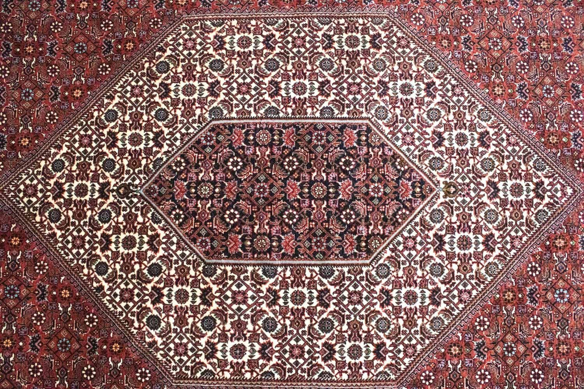 Perserteppich - Bidjar 291 x 205 cm