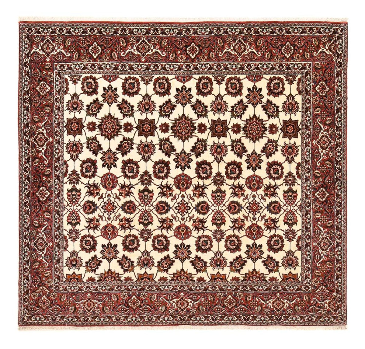 Perserteppich - Bidjar quadratisch  - 255 x 241 cm - rost