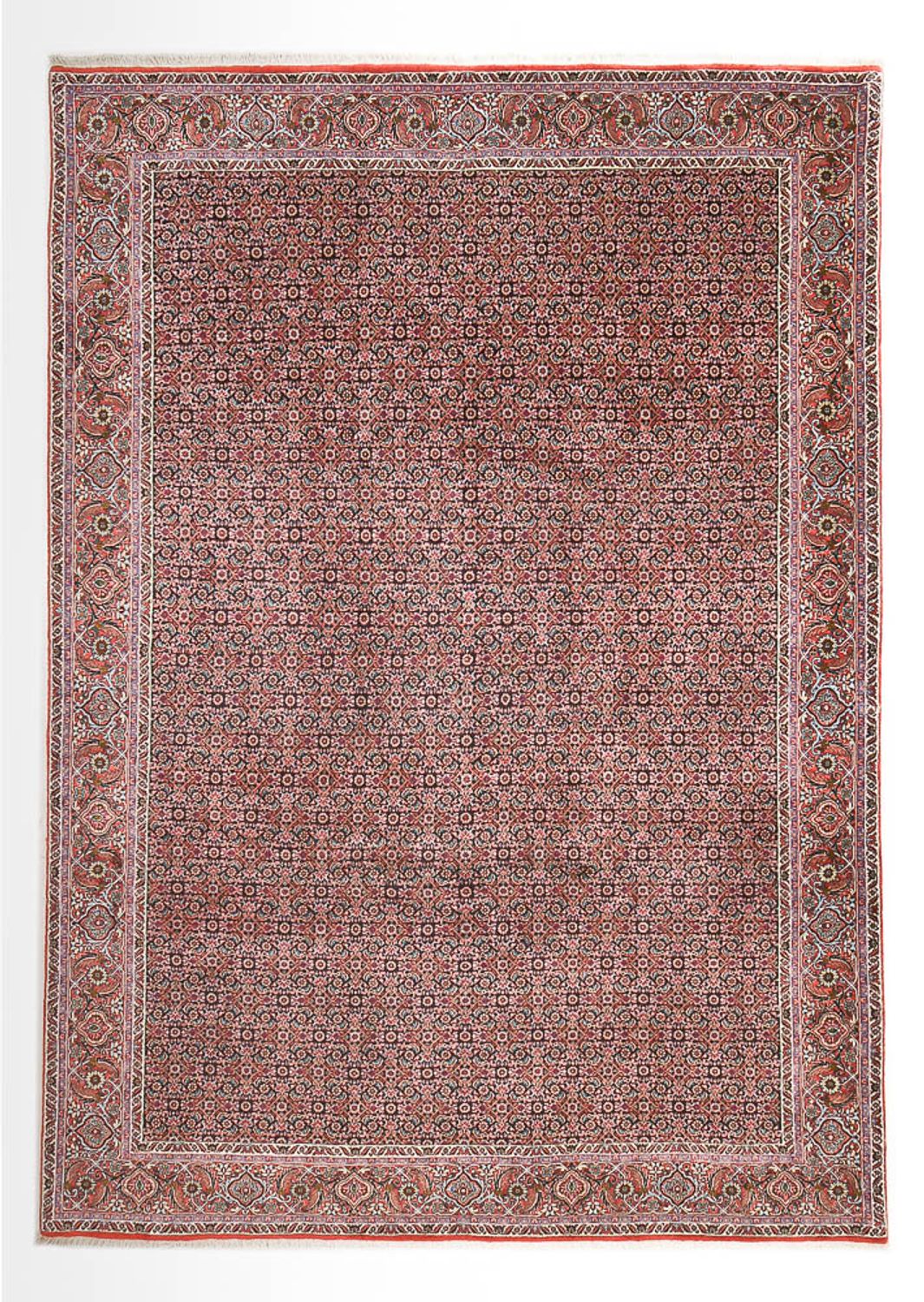 Perserteppich - Bidjar - 362 x 258 cm - rost