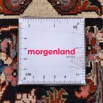 Perserteppich - Bidjar - 295 x 202 cm - hellrot