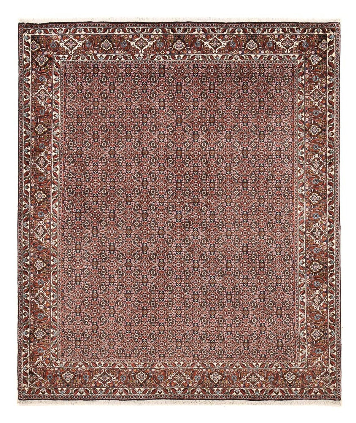 Perserteppich - Bidjar - 239 x 202 cm - rost