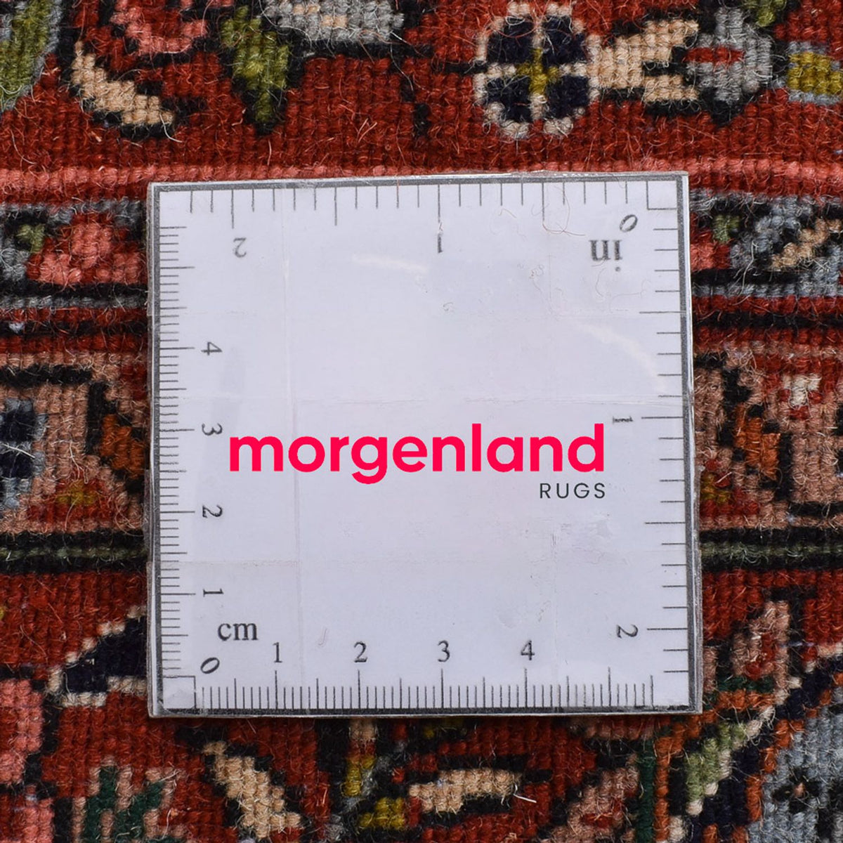 Perserteppich - Bidjar - 208 x 137 cm - creme