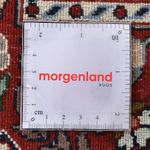 Perserteppich - Classic - 290 x 204 cm - rost