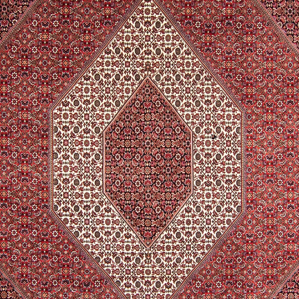 Perserteppich - Bidjar 357 x 250 cm