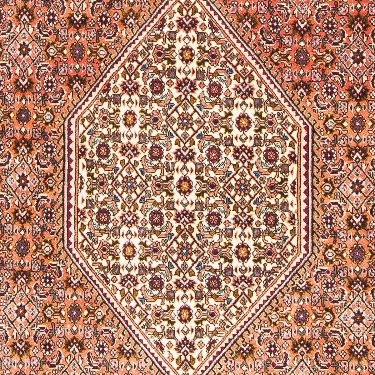Perserteppich - Bidjar - Royal 179 x 113 cm