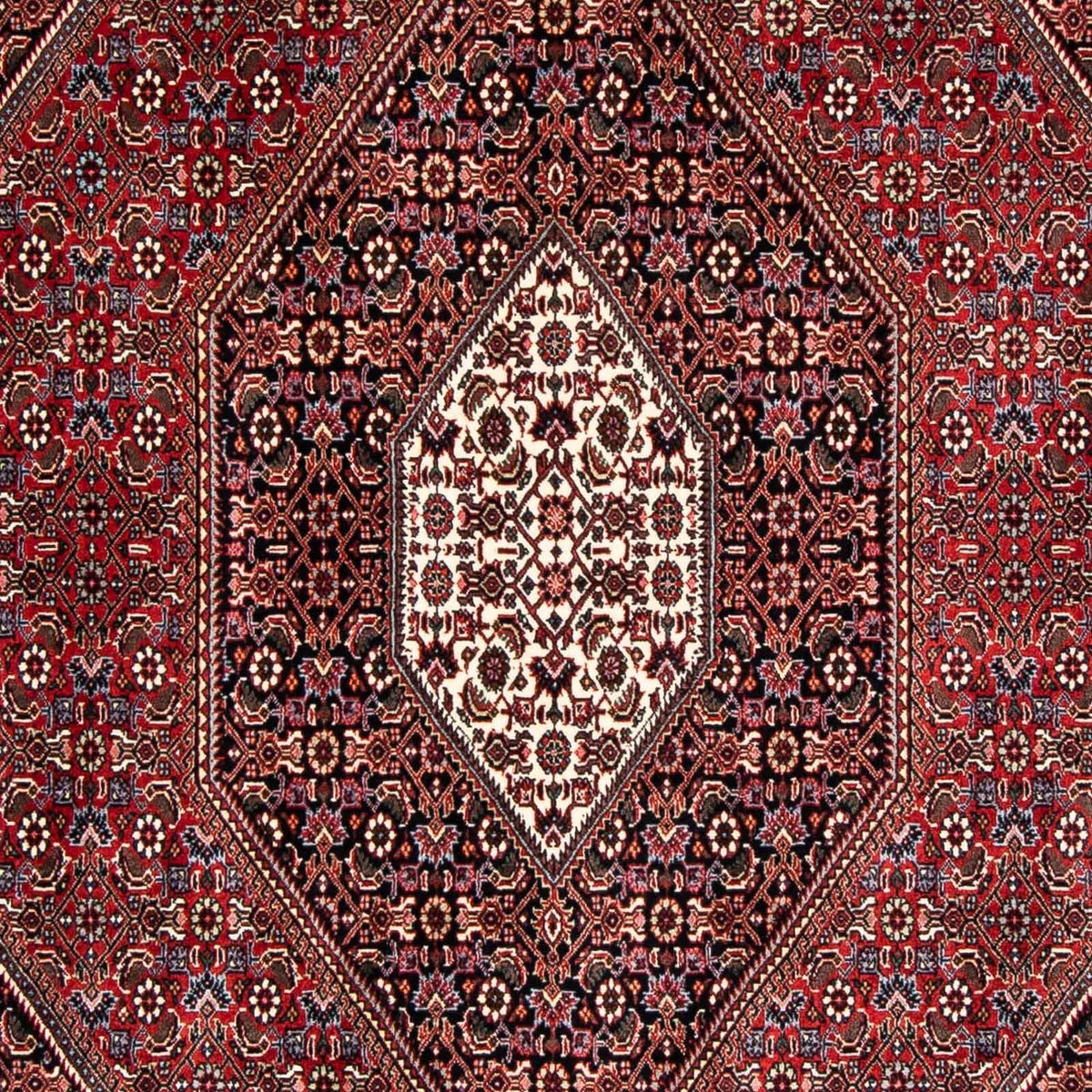 Perserteppich - Bidjar 246 x 167 cm