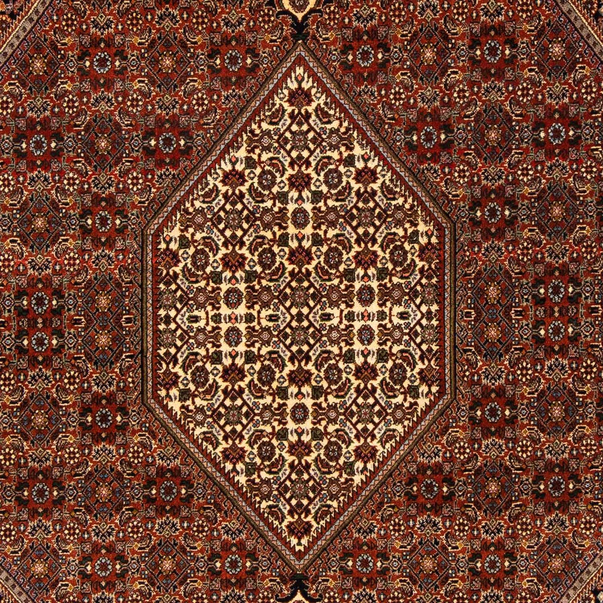 Perserteppich - Bidjar 274 x 171 cm