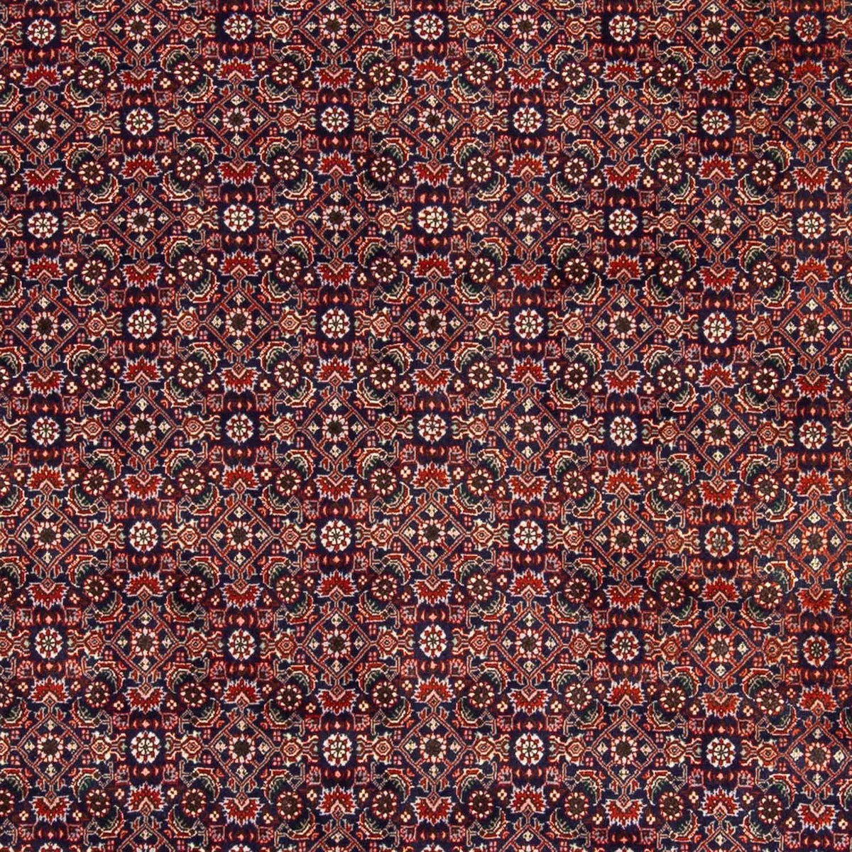 Perserteppich - Bidjar 237 x 168 cm - hellrot
