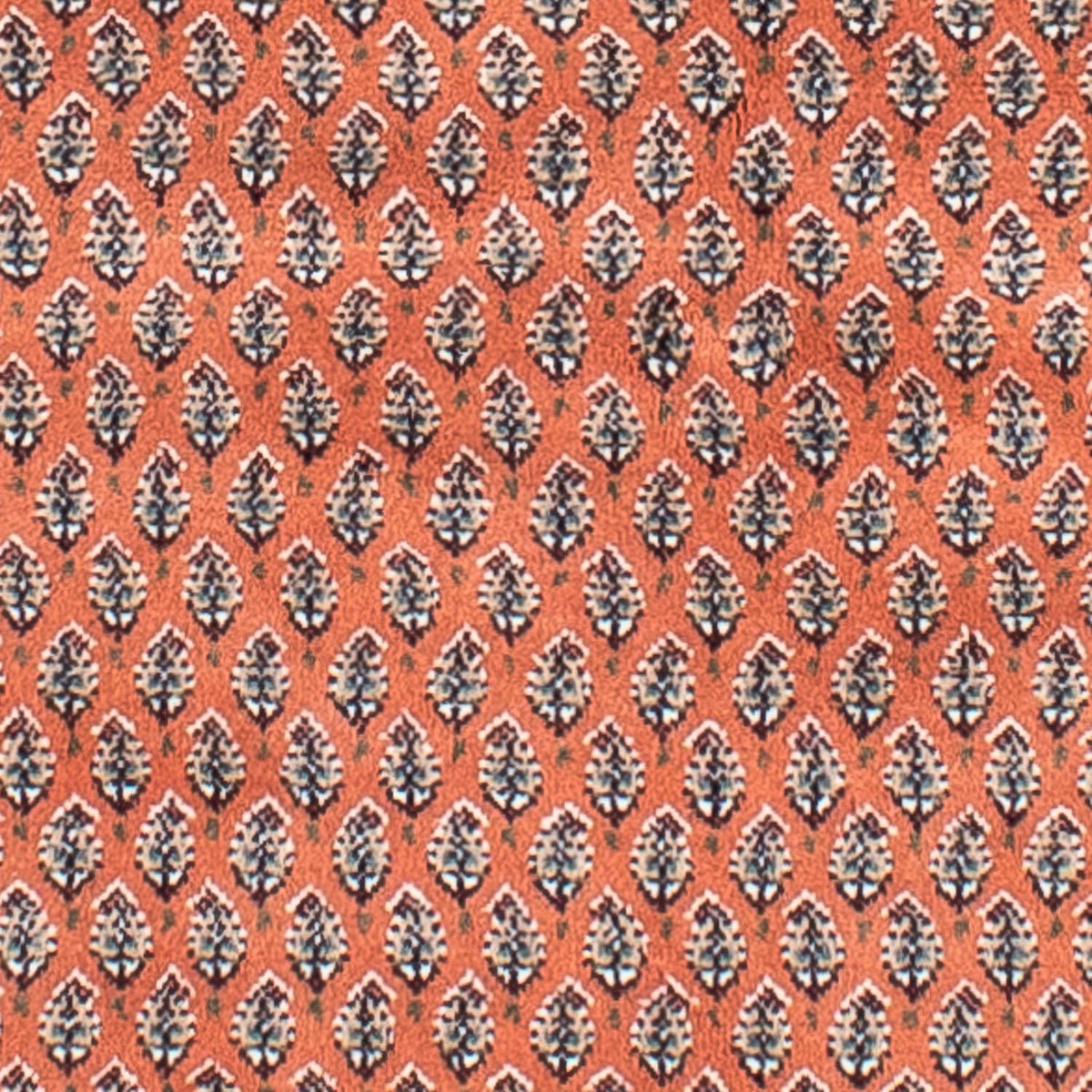 Perserteppich - Täbriz 243 x 171 cm