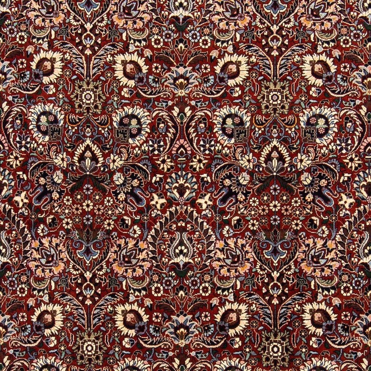 Perserteppich - Bidjar 248 x 170 cm