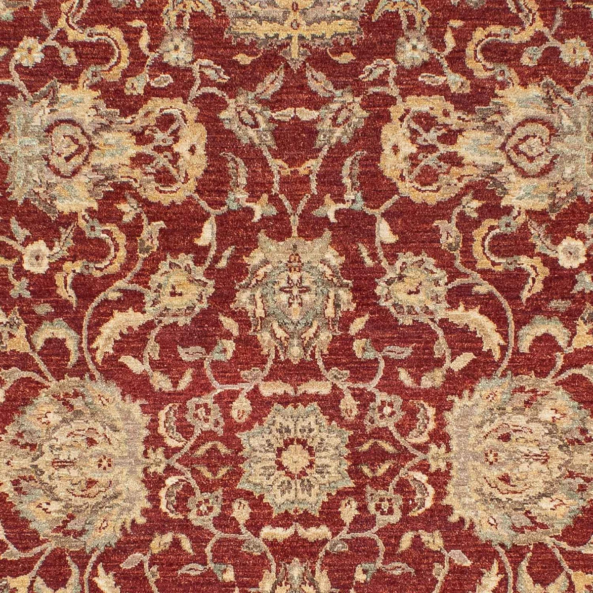 Ziegler Teppich 269 x 177 cm