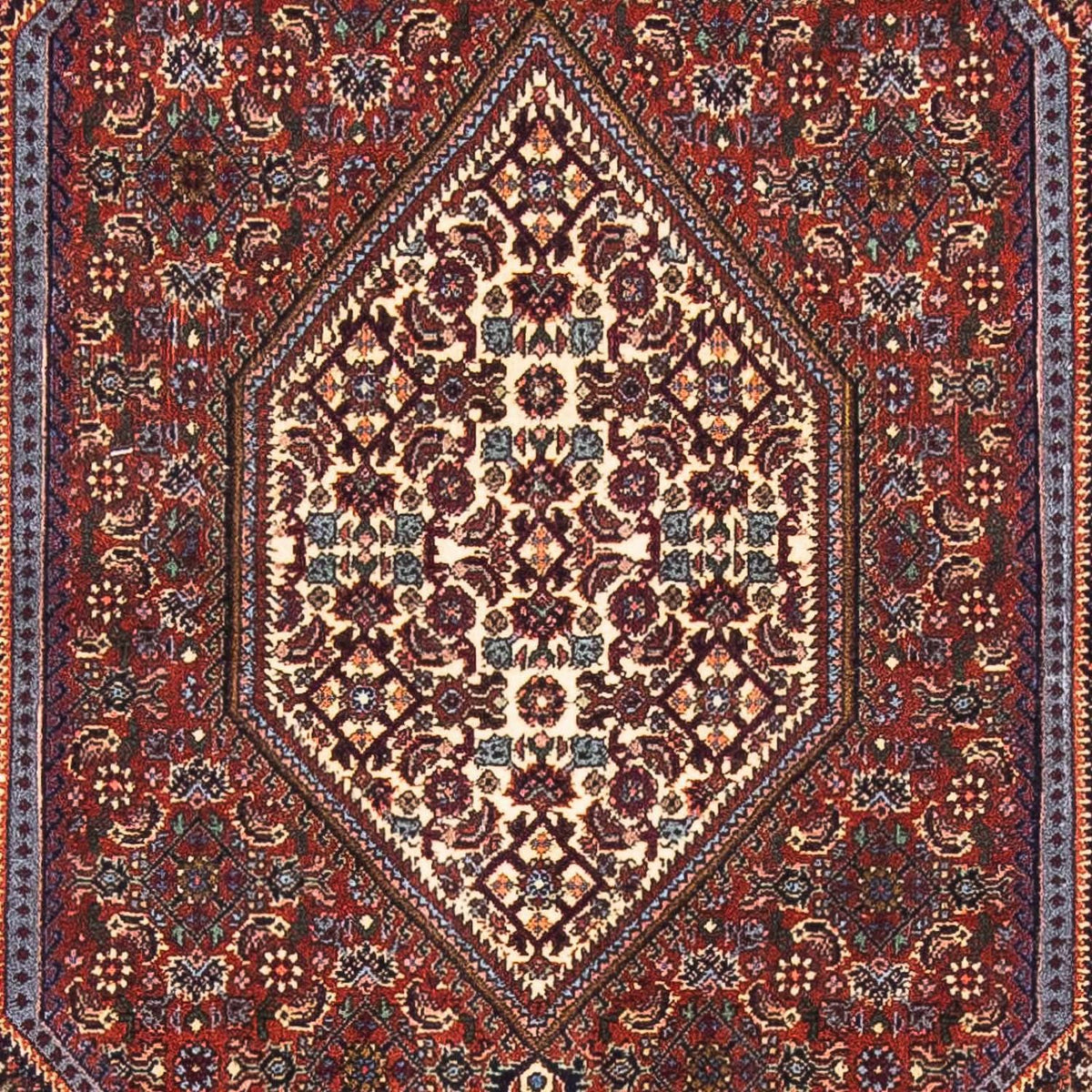 Perserteppich - Bidjar - Royal 153 x 105 cm