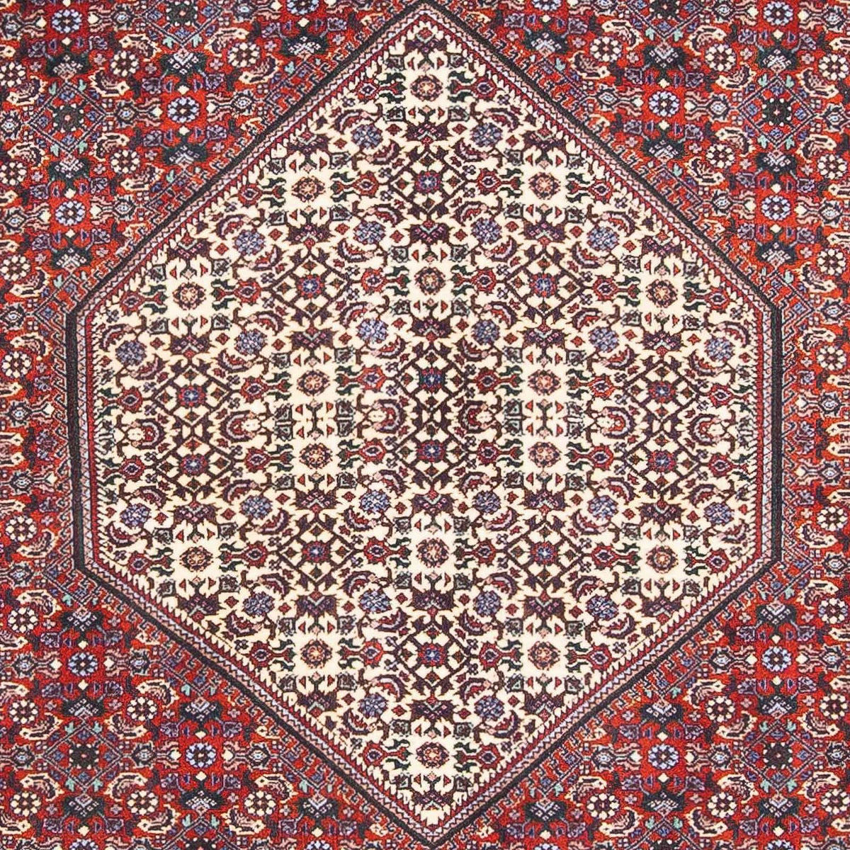 Perserteppich - Bidjar - Royal 170 x 110 cm - beige