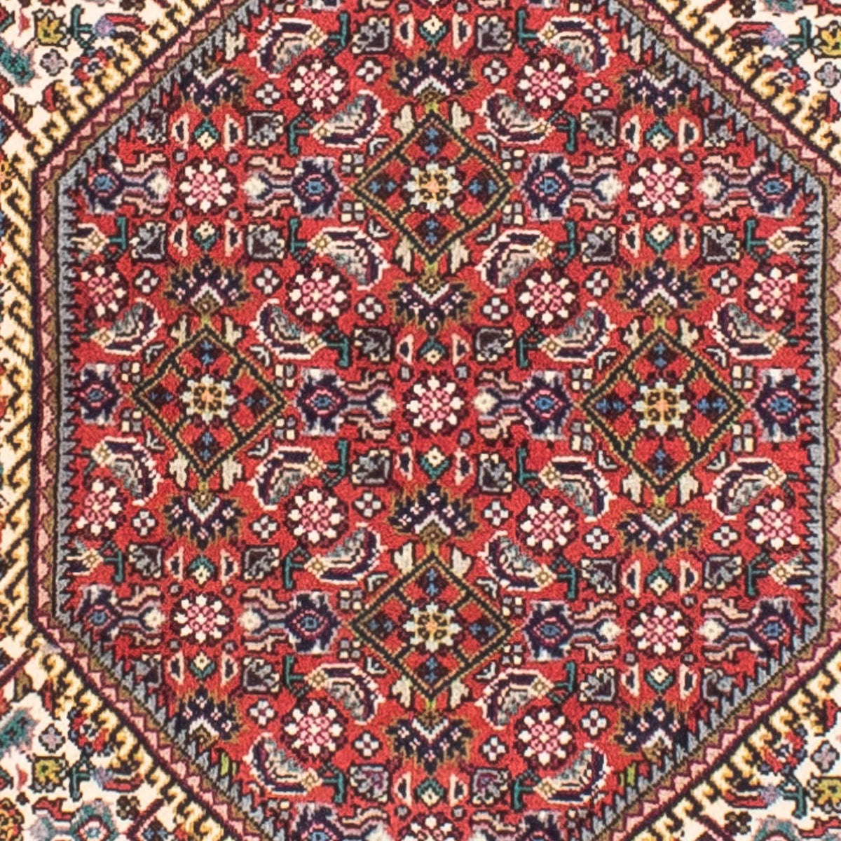 Perserteppich - Bidjar 170 x 110 cm