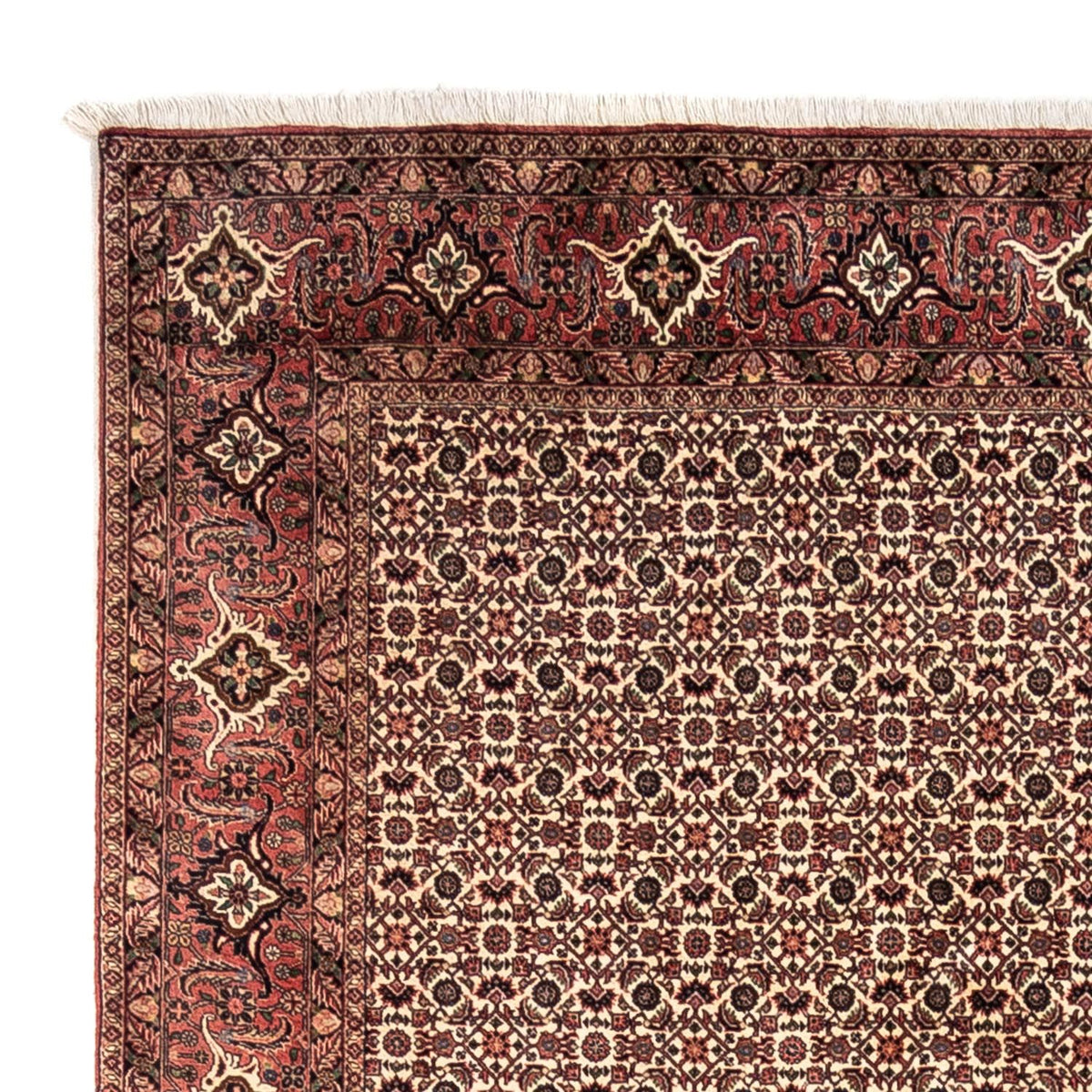 Perserteppich - Bidjar - Royal 302 x 208 cm