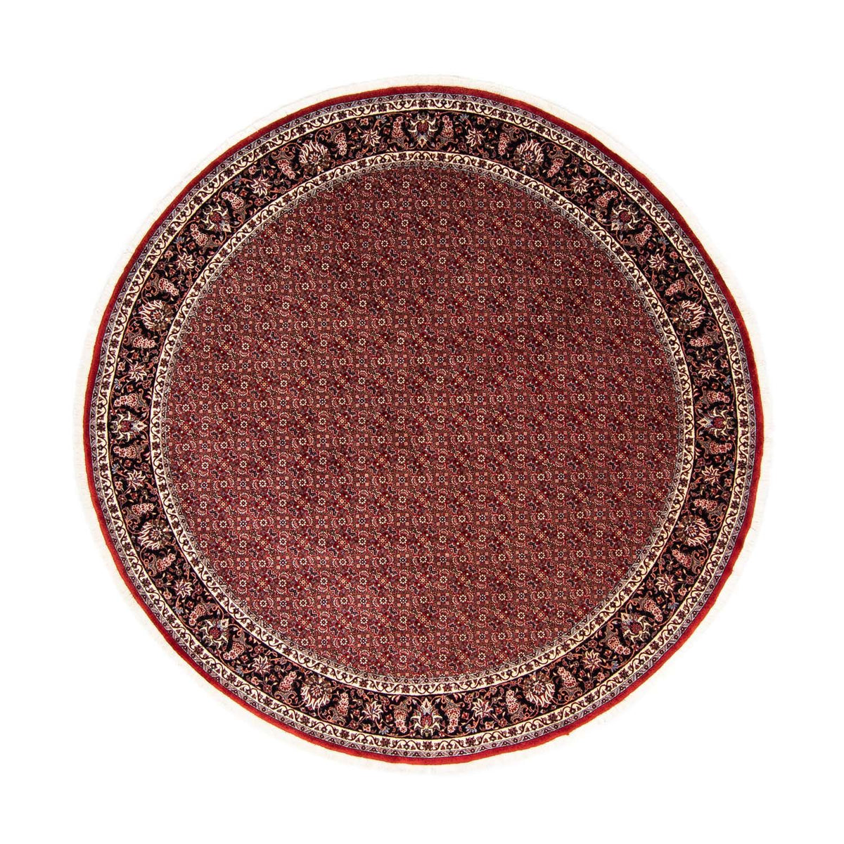 Perserteppich - Bidjar 250 x 250 cm