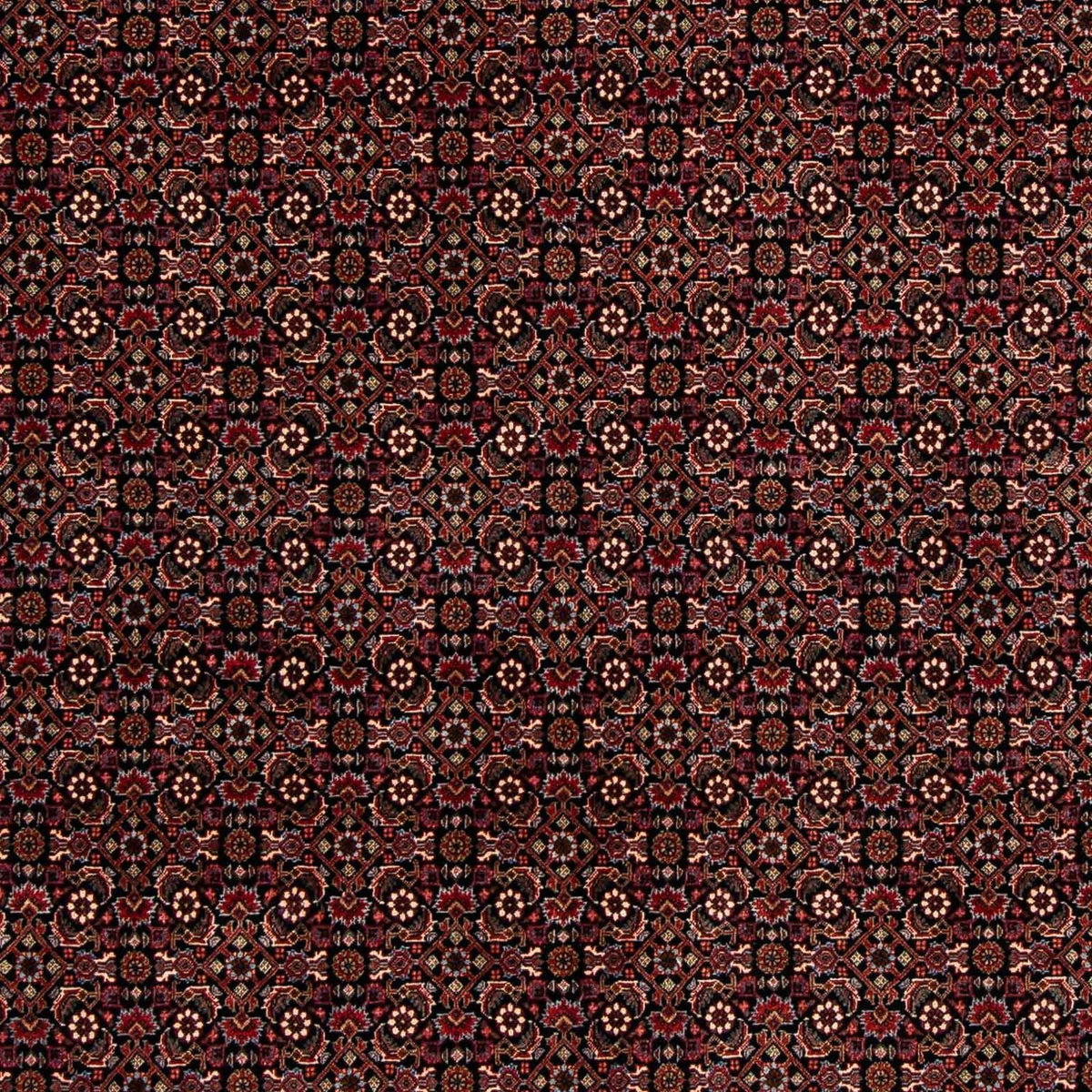 Perserteppich - Bidjar 248 x 198 cm