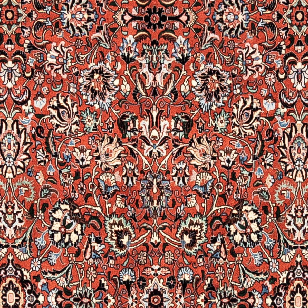 Perserteppich - Bidjar - Royal 282 x 198 cm