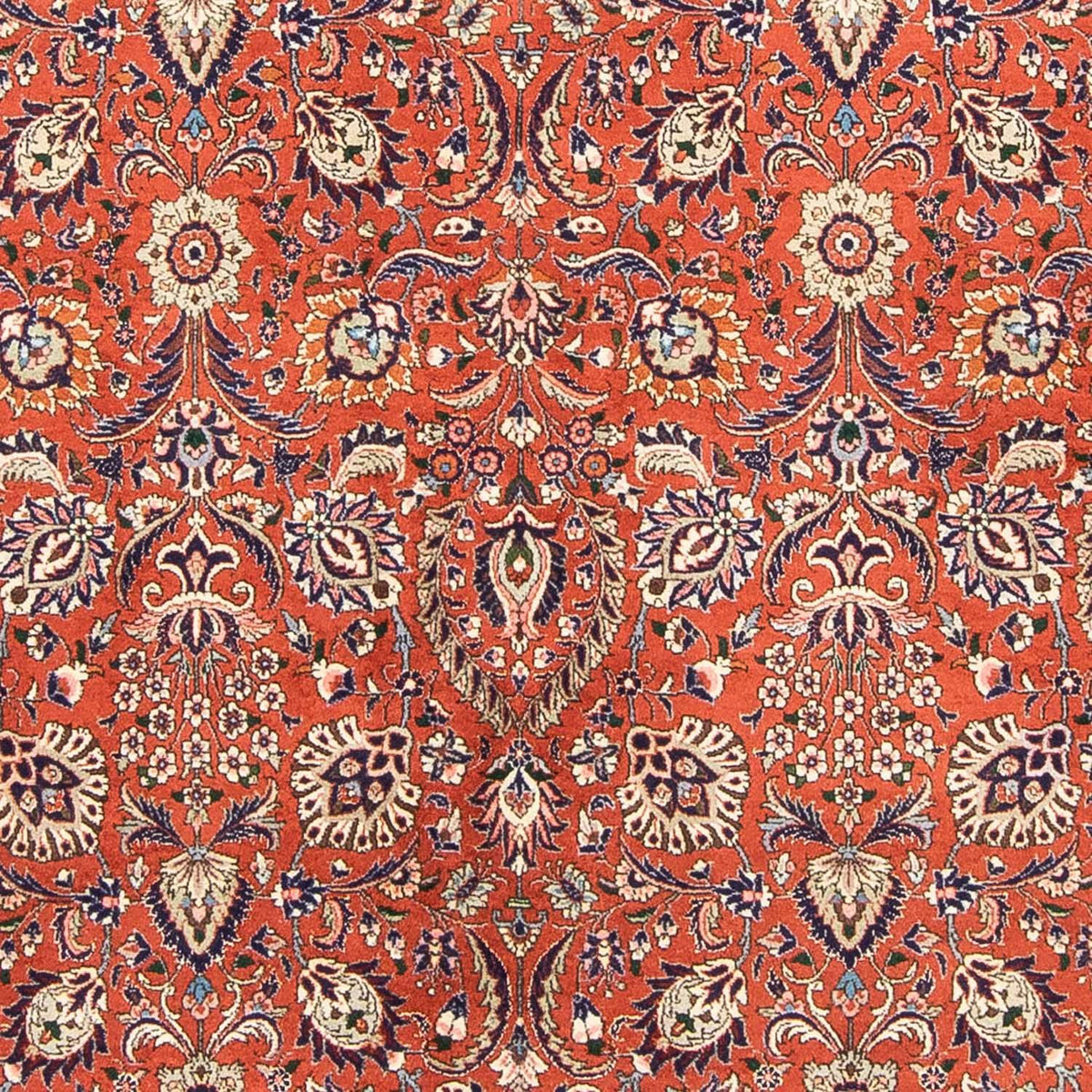 Perserteppich - Bidjar 243 x 172 cm