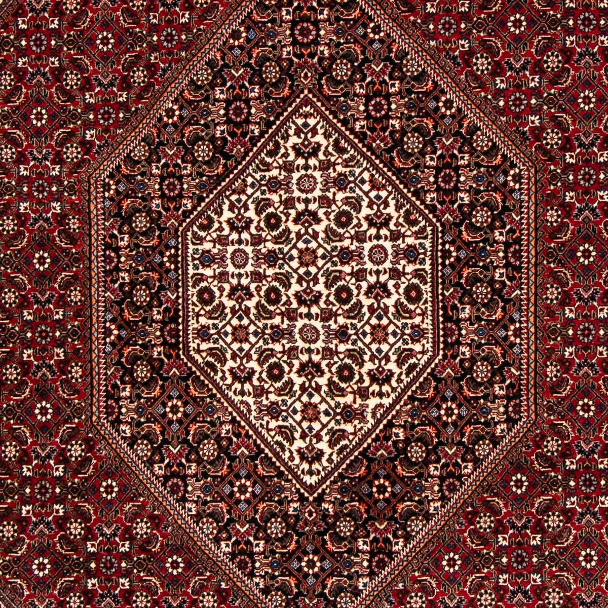 Perserteppich - Bidjar 238 x 165 cm Teppich Wohnzimmer