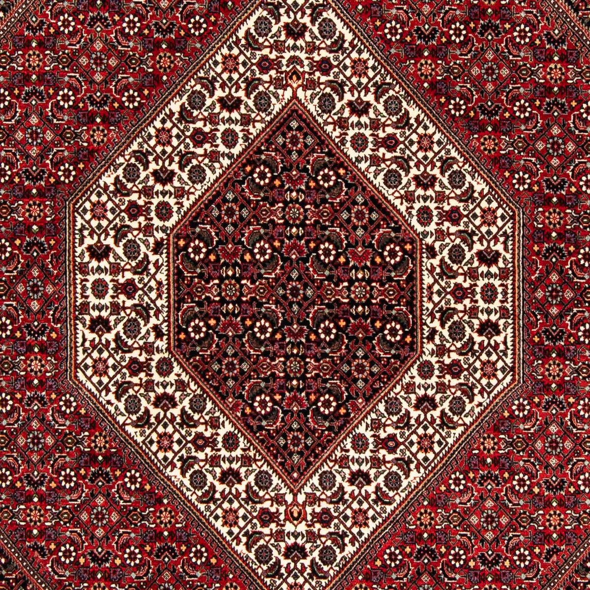 Perserteppich - Bidjar 240 x 172 cm