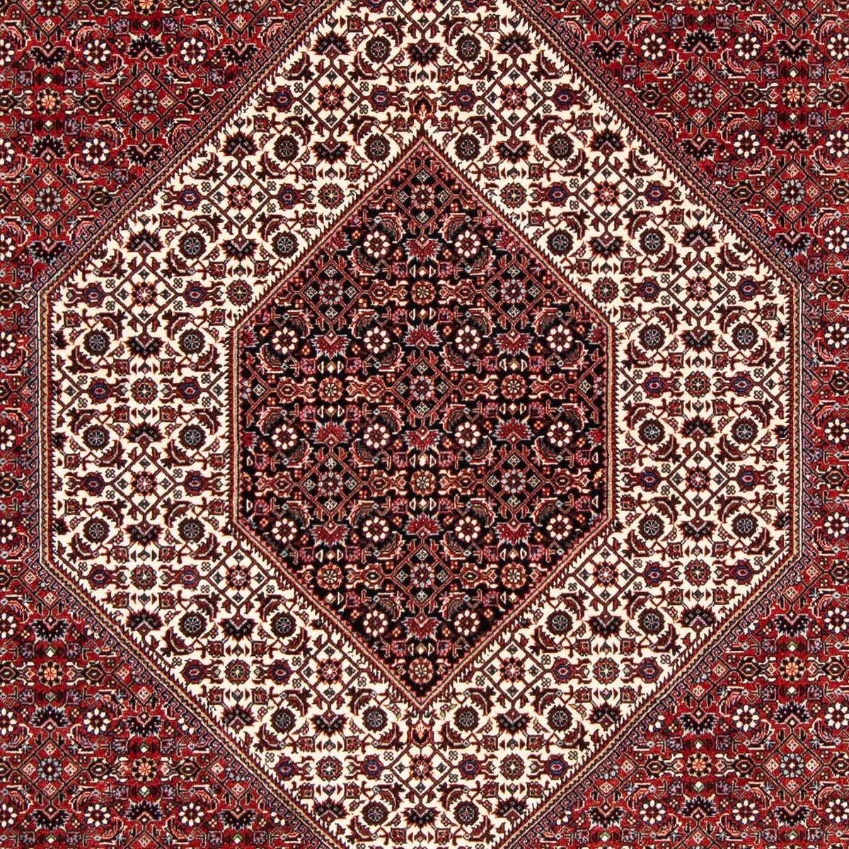 Perserteppich - Bidjar 249 x 174 cm