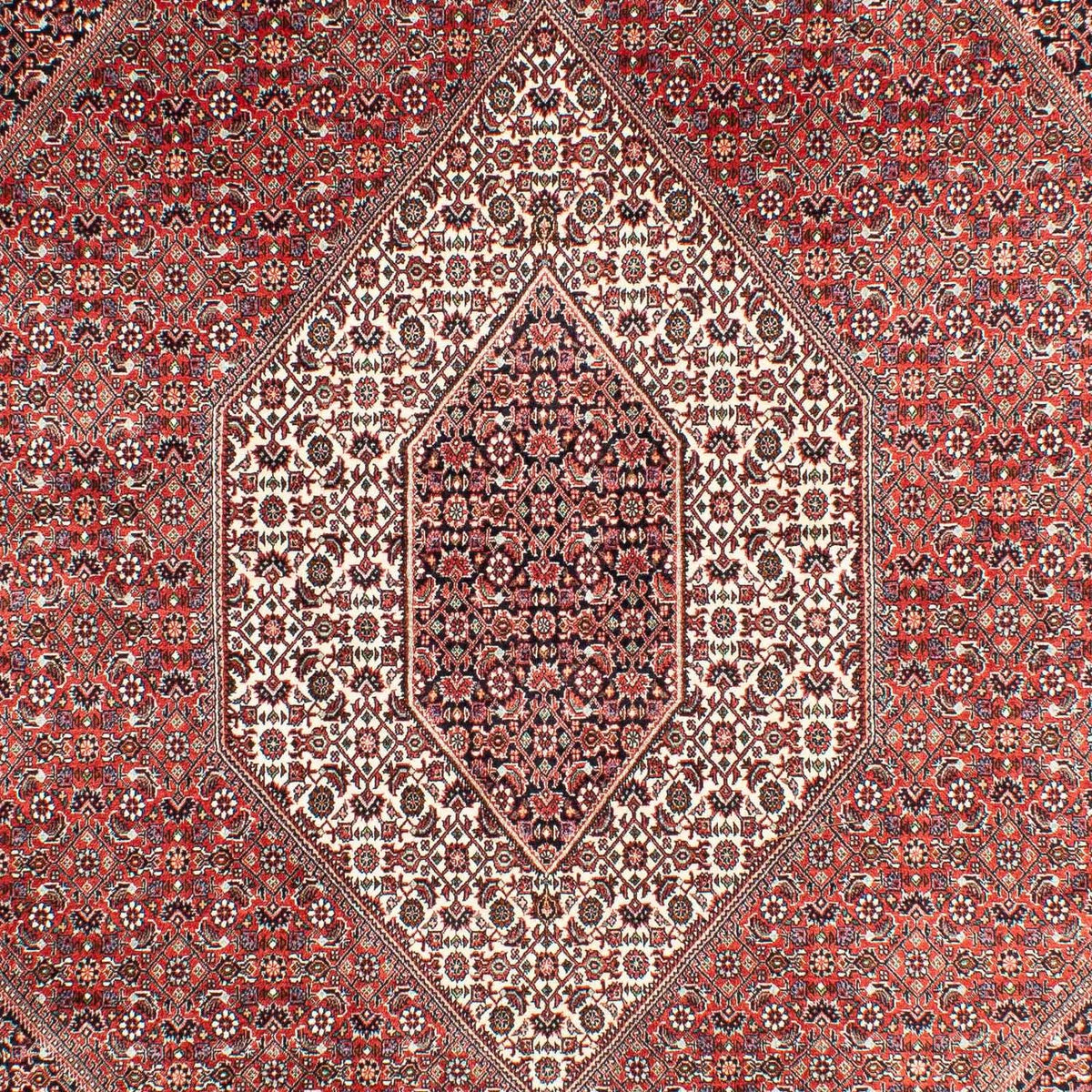 Perserteppich - Bidjar 303 x 203 cm