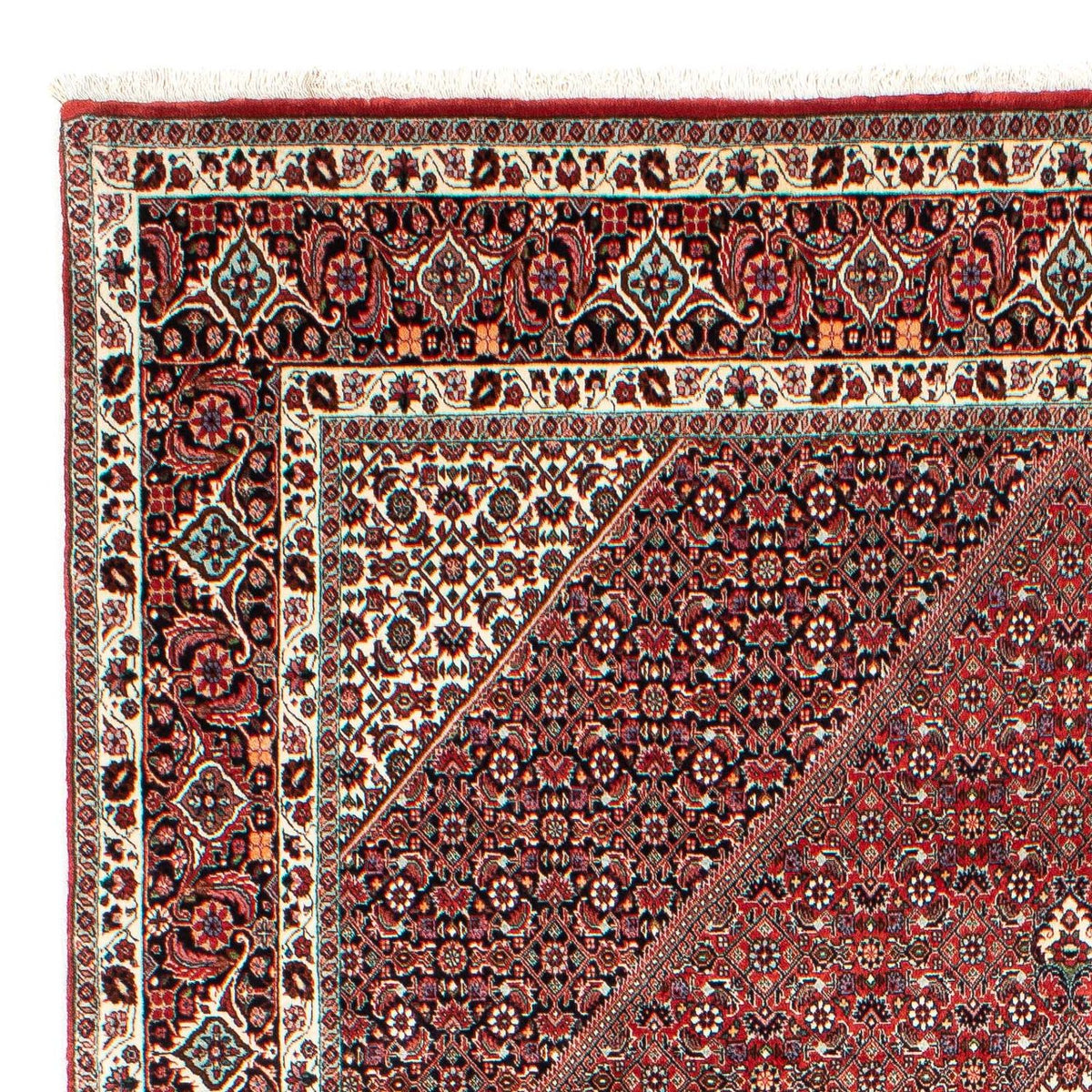 Perserteppich - Bidjar 303 x 203 cm
