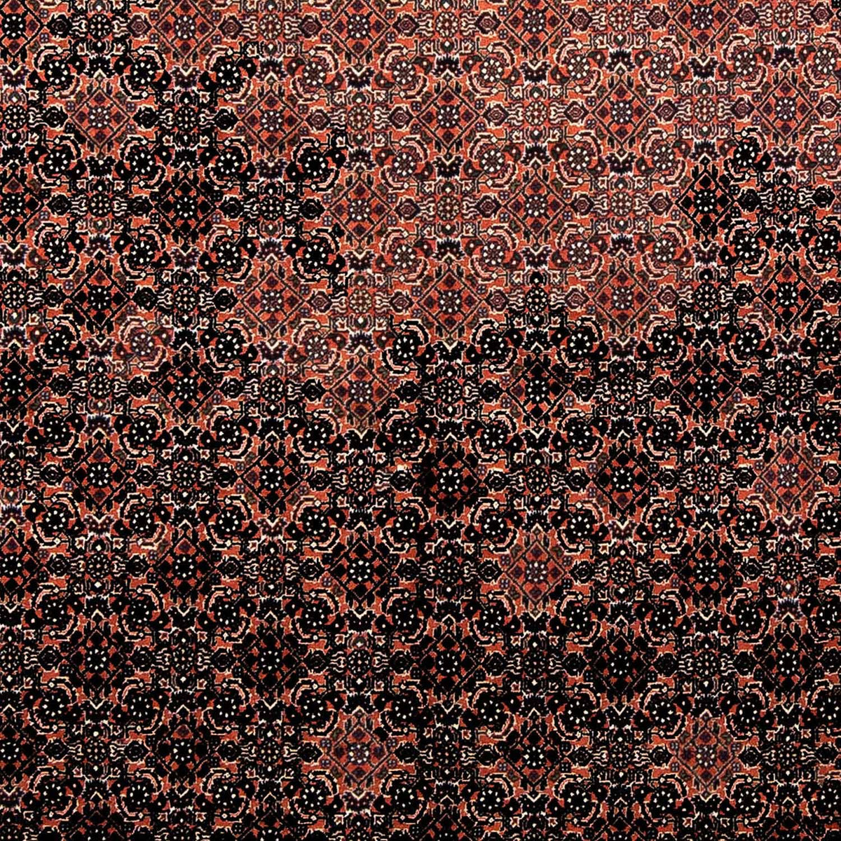 Perserteppich - Bidjar 250 x 173 cm