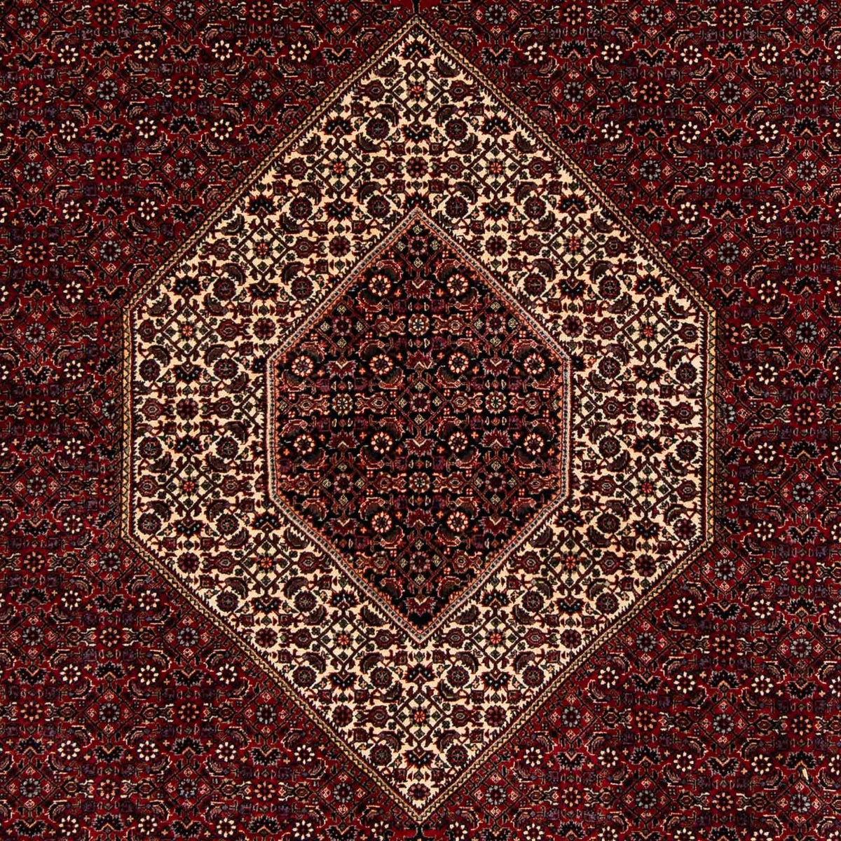 Perserteppich - Bidjar 257 x 204 cm