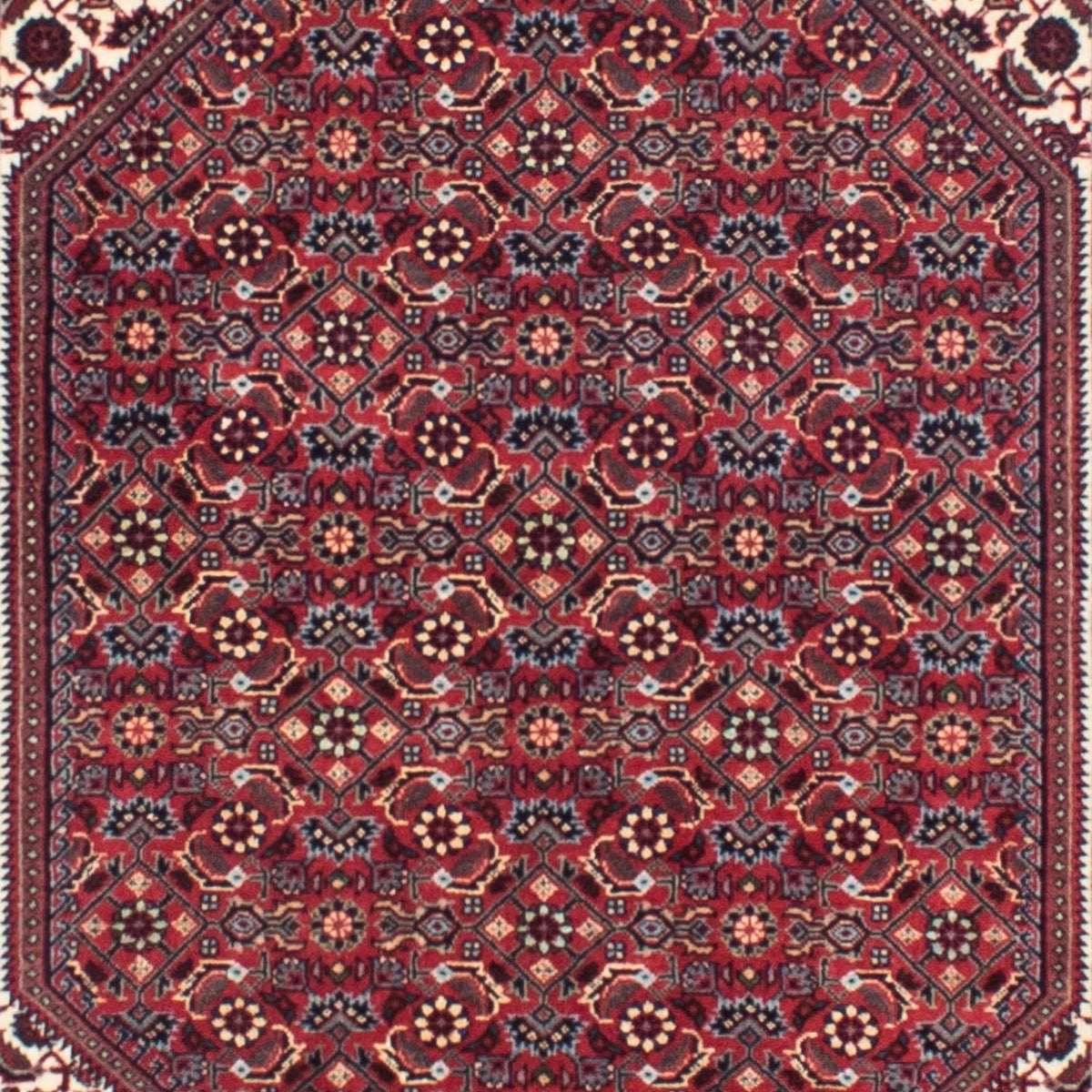 Perserteppich - Bidjar - Royal 313 x 83 cm