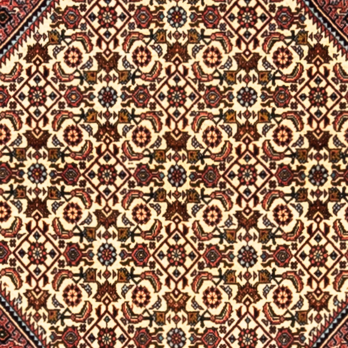 Perserteppich - Bidjar - Royal 291 x 200 cm