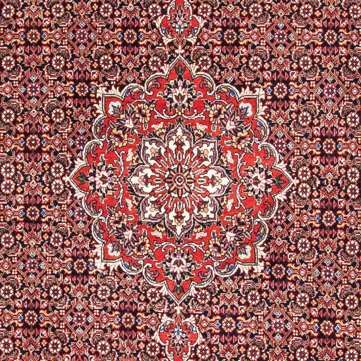 Perserteppich - Bidjar - Royal 170 x 109 cm