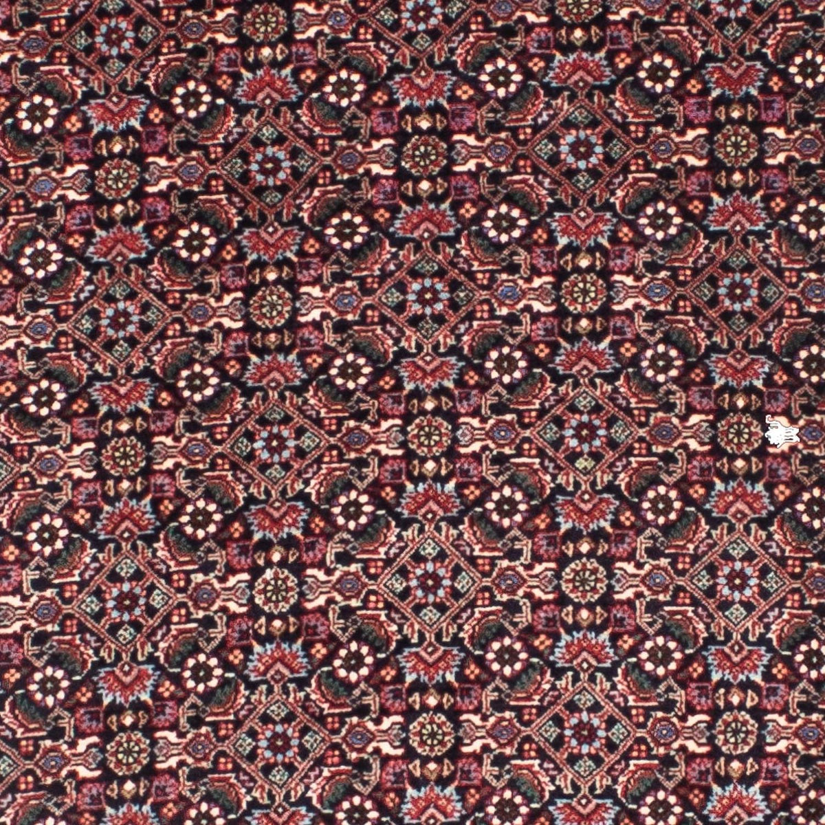 Perserteppich - Bidjar - Royal 288 x 86 cm
