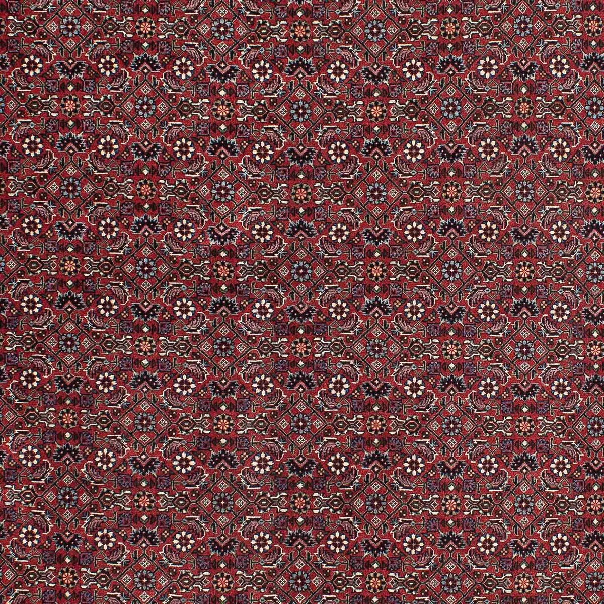Perserteppich - Bidjar - Royal 195 x 115 cm