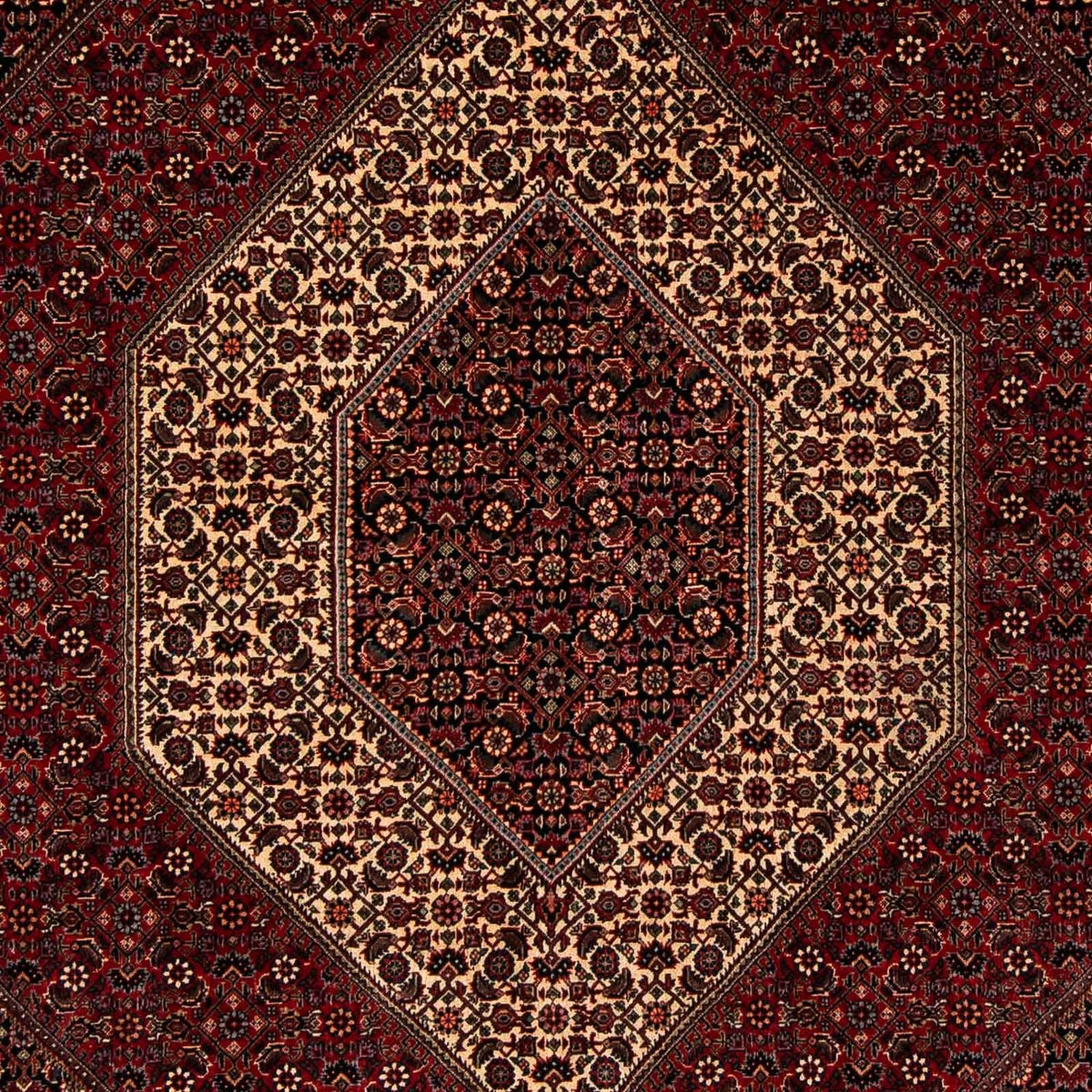 Perserteppich - Bidjar 255 x 202 cm