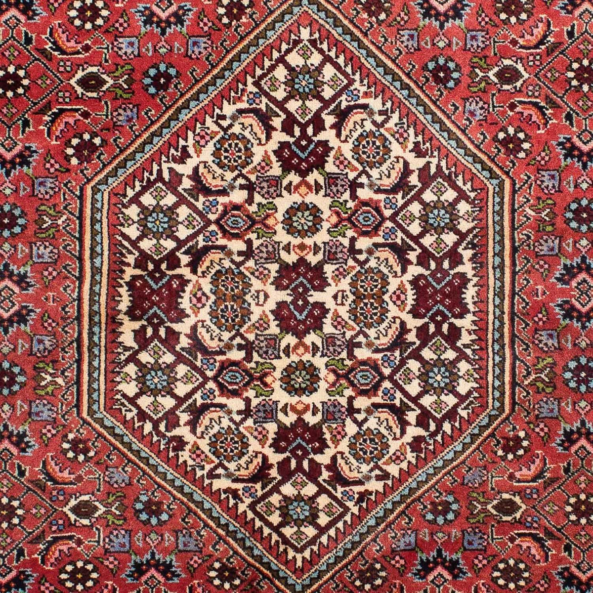 Perserteppich - Bidjar 242 x 135 cm