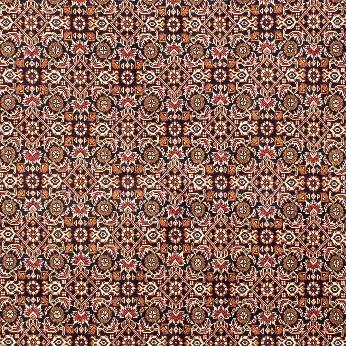 Perserteppich - Bidjar 243 x 171 cm