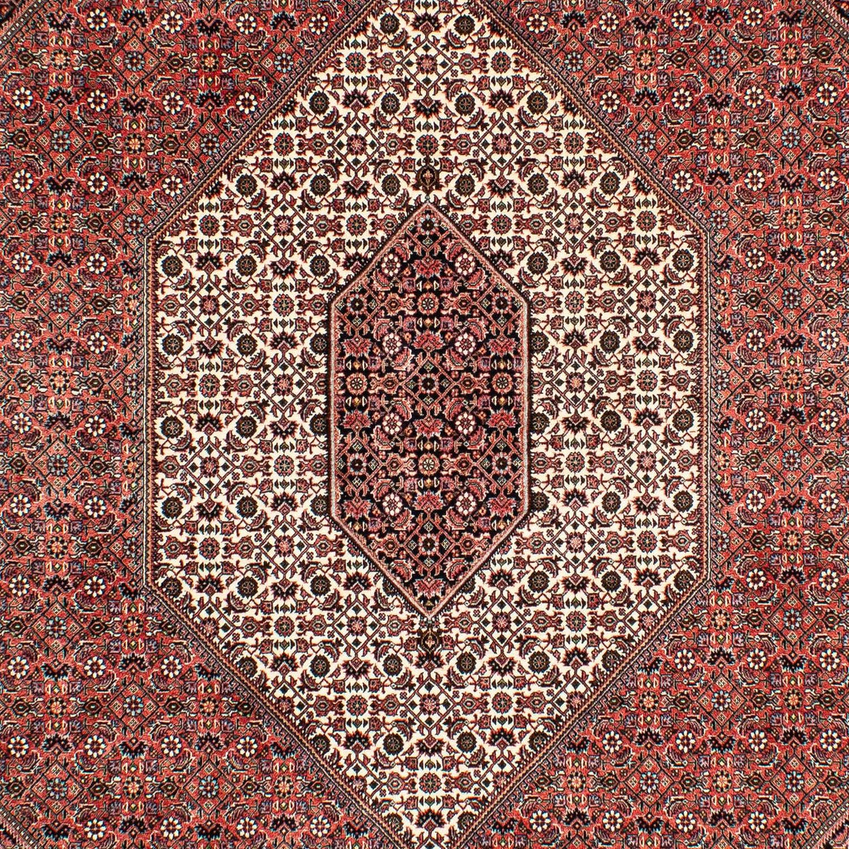 Perserteppich - Bidjar 293 x 203 cm